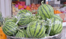 果乐在吃瓜,一场甜蜜的吃瓜盛宴