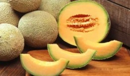 吃瓜哈密瓜雪糕,吃瓜哈密瓜雪糕，甜蜜滋味尽享一夏