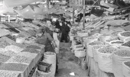 流浪之路吃瓜吧,揭秘吃瓜群众的狂欢盛宴