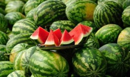 夸夸吃瓜,夸夸吃瓜，品味人生百态