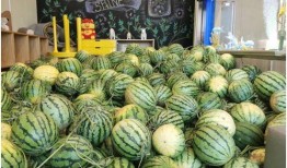 吃瓜免费最新,带你领略免费吃瓜的全新体验