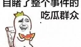 被动吃瓜的群众,被动吃瓜群众视角下的社会百态