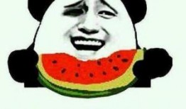 被动吃瓜的群众,被动吃瓜群众视角下的社会百态