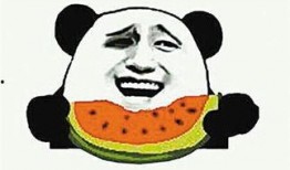 吃瓜群众吃瓜子,品味生活百态