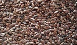 岑岑吃瓜 omega,Omega视角下的娱乐圈风云录