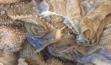 老杨吃瓜,揭秘娱乐圈那些不为人知的幕后故事