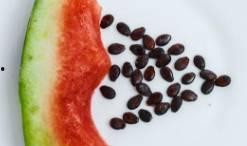 吃瓜不吐籽的作品