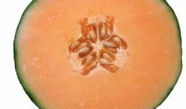 孕妇可吃蜜瓜,营养美味两不误的孕期佳品