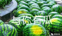 列表吃瓜,盘点娱乐圈最新热点事件