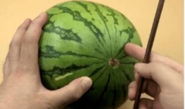 吃瓜三十年,见证娱乐圈风云变幻