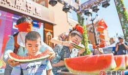 长垣吃瓜视频表演,一场别开生面的民间艺术盛宴