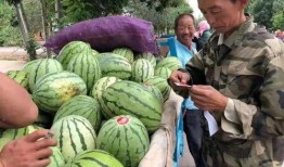 金昌吃瓜,探寻瓜果美食的甜蜜奥秘