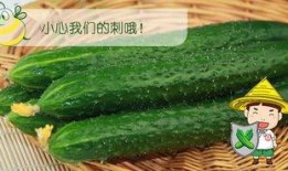 六舒吃瓜,揭秘娱乐圈那些不为人知的幕后故事