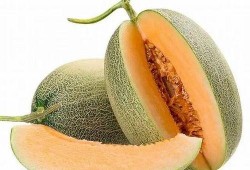 哈密瓜是什么季节开始吃,哈密瓜季来临，尽享清凉美味