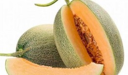 哈密瓜是什么季节开始吃,哈密瓜季来临，尽享清凉美味