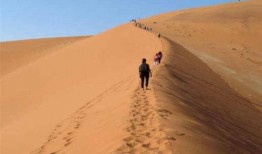 在沙漠边吃的瓜叫沙漠瓜