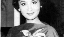 夏梦吃瓜群众金庸