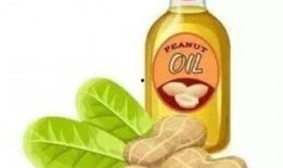 吃瓜食用油,健康美味两不误的秘密