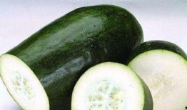 吃瓜长湿气,湿气缠身？揭秘吃瓜长湿气的真相与应对策略