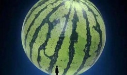 坐等吃瓜怎么吃,坐等吃瓜的趣味指南