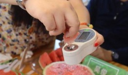 浦东干部直播吃瓜