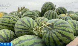 926吃瓜网,926吃瓜网带你领略明星幕后故事