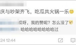 吃瓜阿朱海底捞,揭秘火锅界的传奇故事