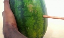 瓜没人吃吗视频