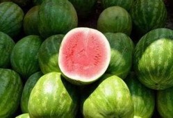 每天吃同学的瓜,揭秘校园里的甜蜜秘密