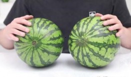 吃瓜保甜密码,揭秘瓜界甜蜜秘诀