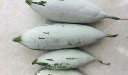 吃瓜看瓜有瓜,吃瓜看瓜，瓜意盎然