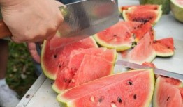 种个瓜自己吃,从种瓜到收获的田园生活实践