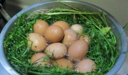 瓜娄怎么吃最好,解锁最佳食用方法