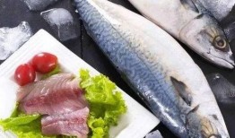 鲛瓜怎么吃,从传统到创新的美味之旅