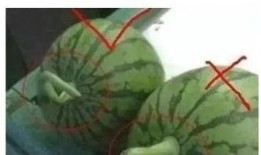 吃瓜就行,吃瓜群众视角下的娱乐圈风云