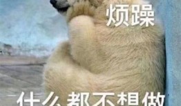 吃瓜群众照片可爱图,吃瓜群众可爱瞬间大盘点