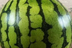 长垣吃瓜视频表演,一场别开生面的民间艺术盛宴