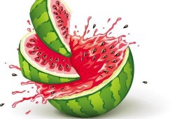 果乐在吃瓜,一场甜蜜的吃瓜盛宴