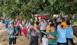 下乡推广全民吃瓜,下乡推广吃瓜新风尚