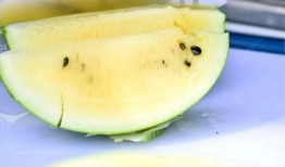 香港队员在线吃瓜,网络互动展现团队风采