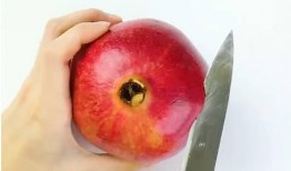 吃皮吐瓜,探寻吃皮吐瓜的独特风味