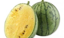 富家带凳吃瓜,尽显奢华生活态度