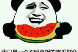 吃瓜博士,网络红人的瓜田奇遇记