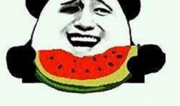 吃瓜博士,网络红人的瓜田奇遇记