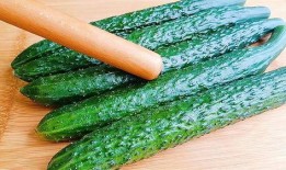 在酒店上班吃瓜